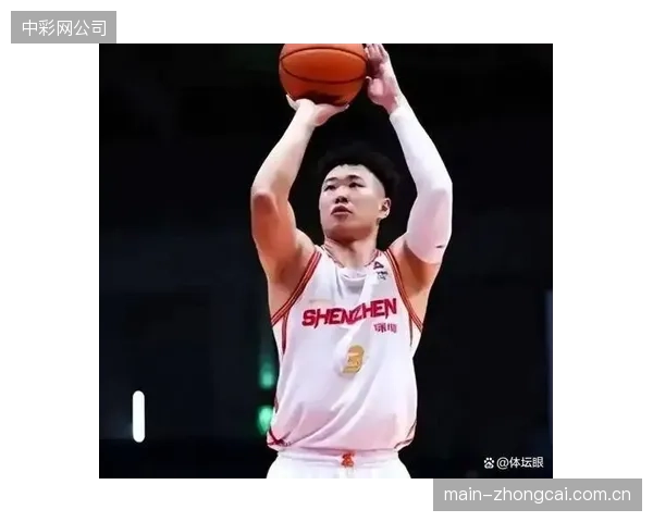 贺希宁与外援史密斯的高效挡拆配合，是深圳队进攻体系成功的关键战术核心。